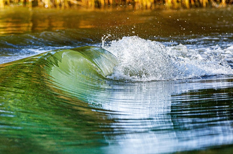 Flow Movement